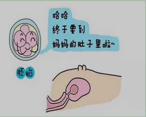 专业助孕指南：权威试管婴儿医疗机构解析及服务清单